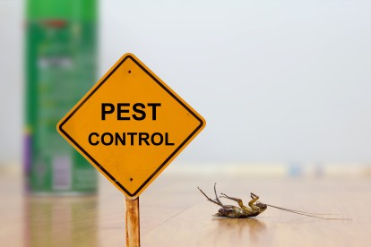 Pest Contol in Archway, N19. Call Now 020 8166 9746